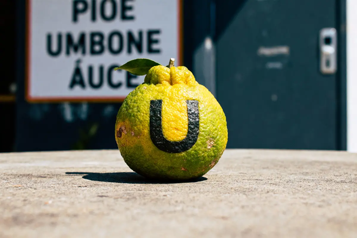 Citron vert avec lettre "U" imprimée, posé sur une surface en béton. Panneau flou en arrière-plan.