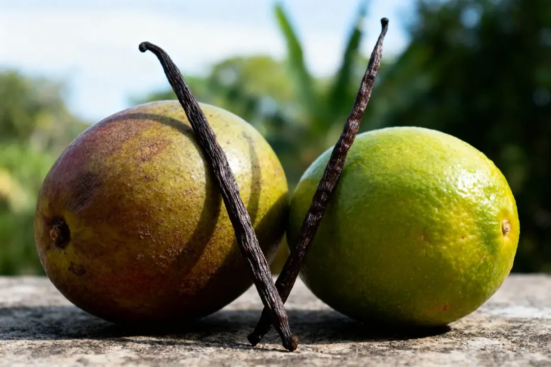 Deux fruits avec gousses de vanille formant un V sur une table en extérieur